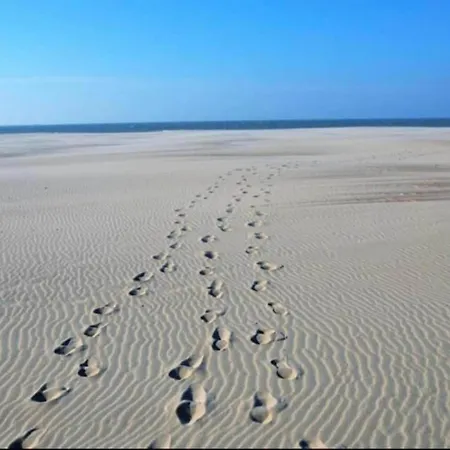 In Near The Beach, Cleaning Included * Nieuwpoort